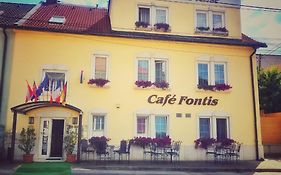 Penzion Fontis Terrae